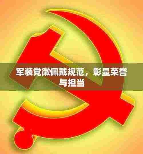 军装党徽佩戴规范,彰显荣誉与担当
