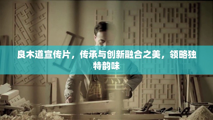 良木道宣传片,传承与创新融合之美,领略独特韵味