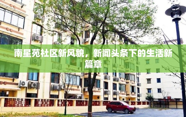 南星苑社区新风貌,新闻头条下的生活新篇章
