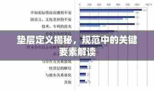 垫层定义揭秘,规范中的关键要素解读