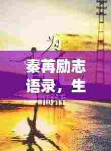 秦苒励志语录,生命不息,梦想不止