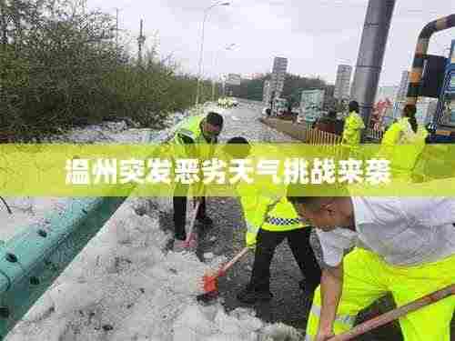 温州突发恶劣天气挑战来袭