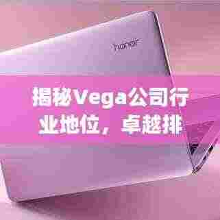 揭秘Vega公司行业地位,卓越排名不容小觑