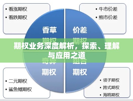 期权业务深度解析,探索、理解与应用之道