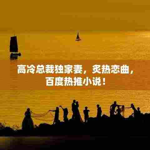 高冷总裁独家妻,炙热恋曲,百度热推小说!