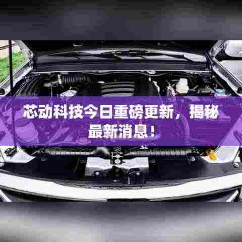 芯动科技今日重磅更新,揭秘最新消息!