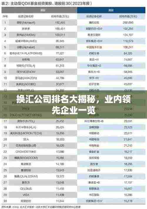换汇公司排名大揭秘,业内领先企业一览