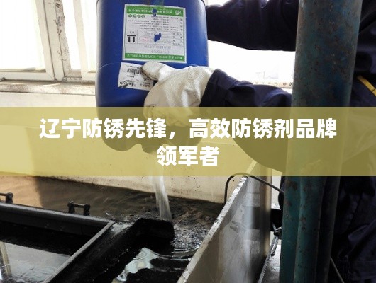 辽宁防锈先锋,高效防锈剂品牌领军者
