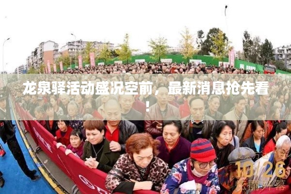 龙泉驿活动盛况空前，最新消息抢先看！