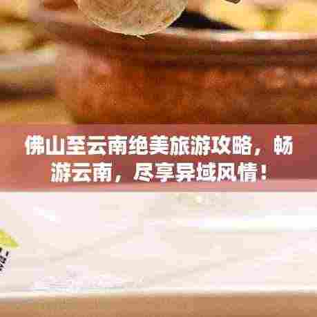 佛山至云南绝美旅游攻略,畅游云南,尽享异域风情!