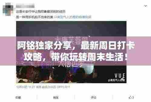 阿铭独家分享,最新周日打卡攻略,带你玩转周末生活!