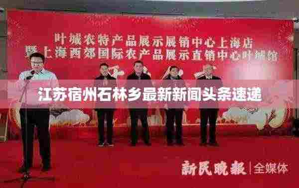 江苏宿州石林乡最新新闻头条速递