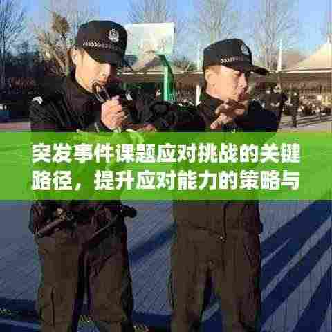 突发事件课题应对挑战的关键路径,提升应对能力的策略与方法