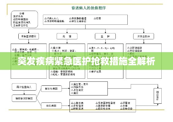 突发疾病紧急医护抢救措施全解析