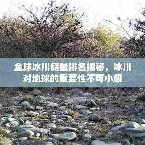 全球冰川储量排名揭秘,冰川对地球的重要性不可小觑