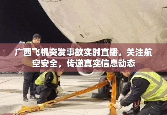 广西飞机突发事故实时直播,关注航空安全,传递真实信息动态
