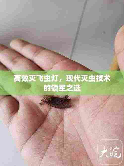 高效灭飞虫灯,现代灭虫技术的领军之选