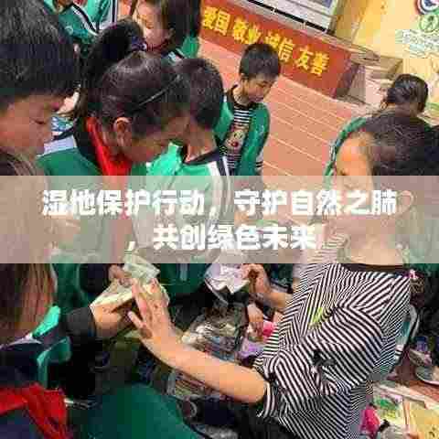 湿地保护行动,守护自然之肺,共创绿色未来