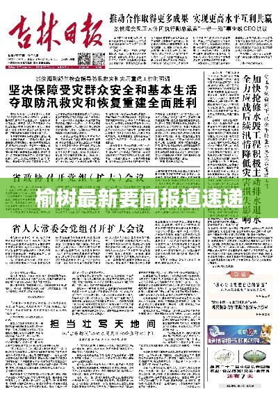 榆树最新要闻报道速递