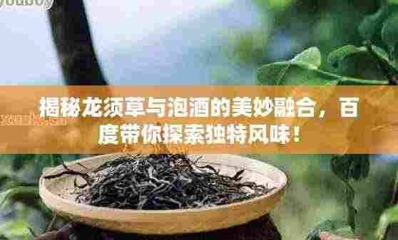 揭秘龙须草与泡酒的美妙融合，百度带你探索独特风味！