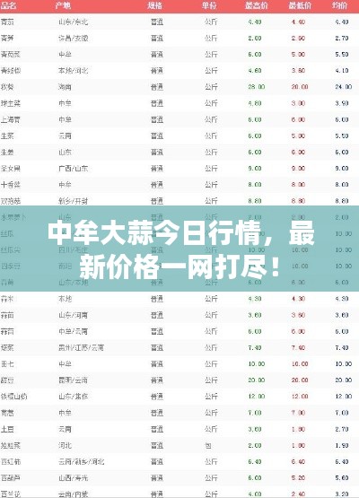 中牟大蒜今日行情，最新价格一网打尽！